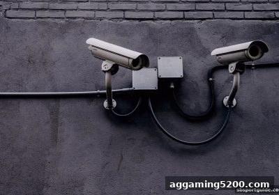sb体育解析：炸金花网络游戏的风险识别与防控全攻略