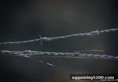 sb体育深度揭秘：金沙城游戏平台安全防骗全攻略
